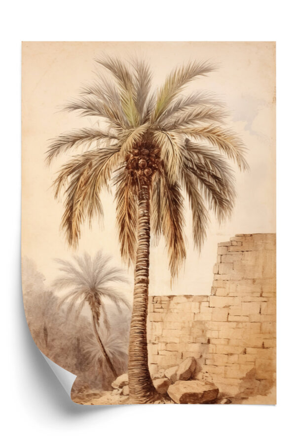 Plakat Ilustracja Palmy Przy Starym Murze - obrazek 3