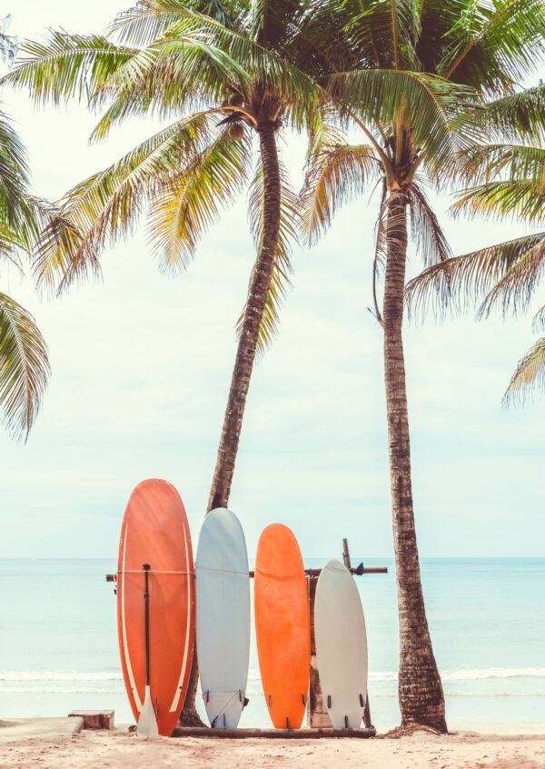 Plakat Surfing I Drzewa Palmowe - obrazek 2