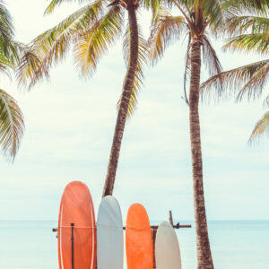 Plakat Surfing I Drzewa Palmowe