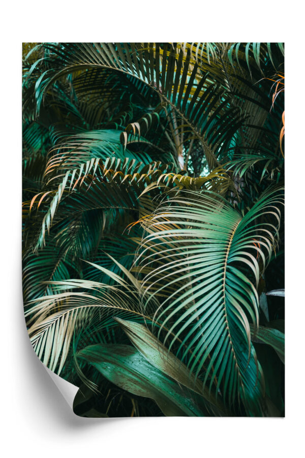 Plakat Gęste Liście Palmowe Palmy - obrazek 3