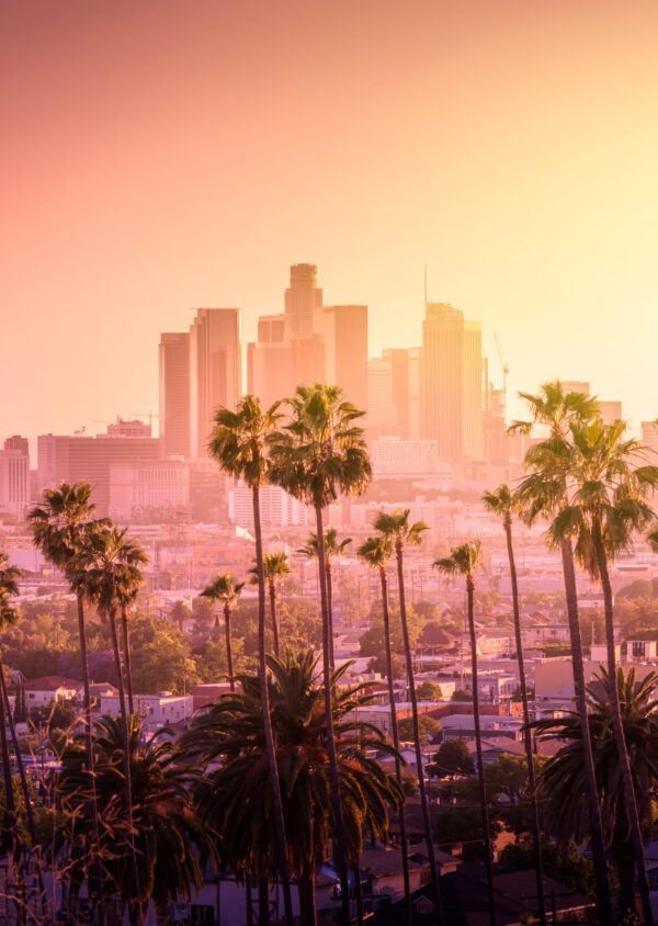 Plakat Panorama Los Angeles Z Palmami I Zachodem Słońca - obrazek 2