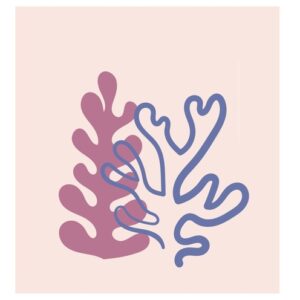 Plakat Koralowce Matisse