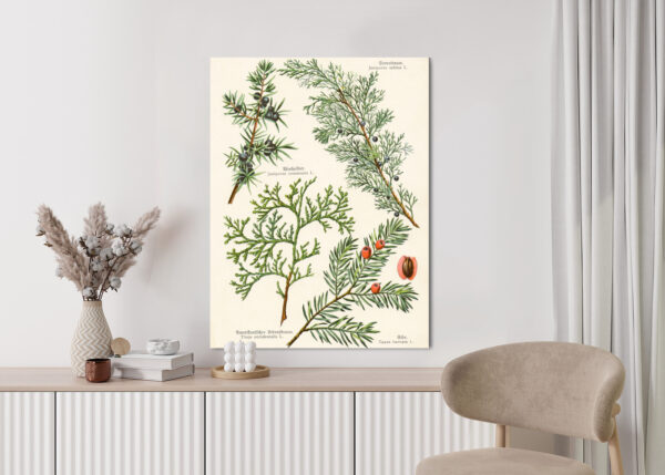 Plakat Wizerunki Starych Roślin Botanicznych - obrazek 6