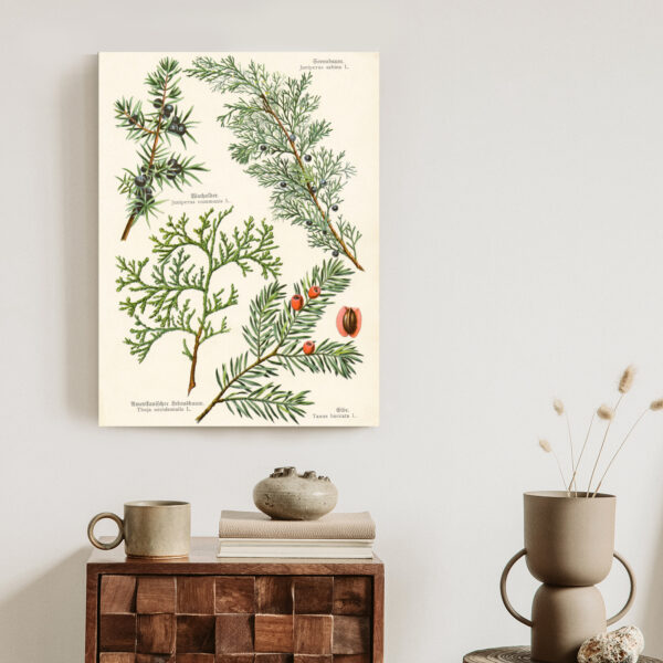 Plakat Wizerunki Starych Roślin Botanicznych - obrazek 4