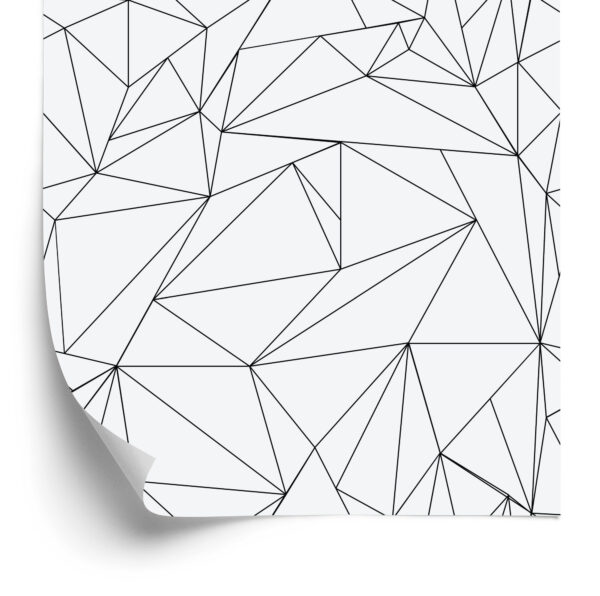 Tapeta Czarno-Biały Wzór Geometryczny - obrazek 4