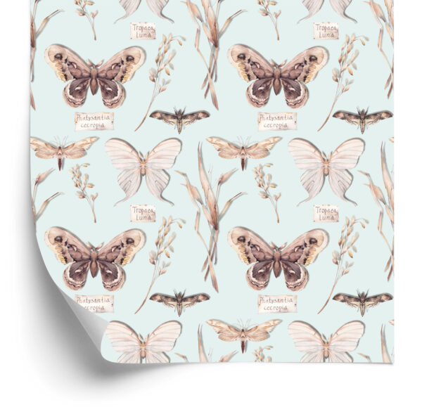 Tapeta Do Jadalni Motyle, Kwiaty, Rośliny, Natura - obrazek 4