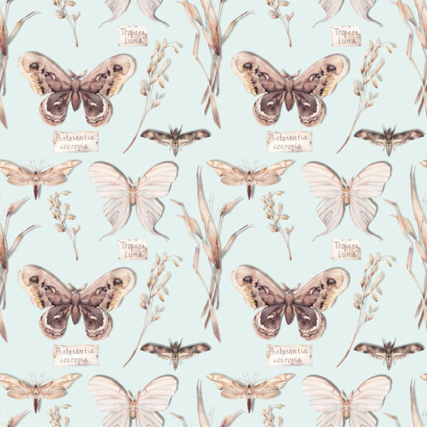 Tapeta Do Jadalni Motyle, Kwiaty, Rośliny, Natura
