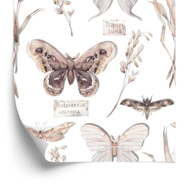 Tapeta Do Kuchni, Motyle, Kwiaty, Rośliny, Natura - obrazek 4