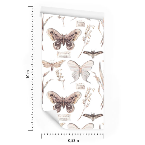 Tapeta Do Kuchni, Motyle, Kwiaty, Rośliny, Natura - obrazek 3