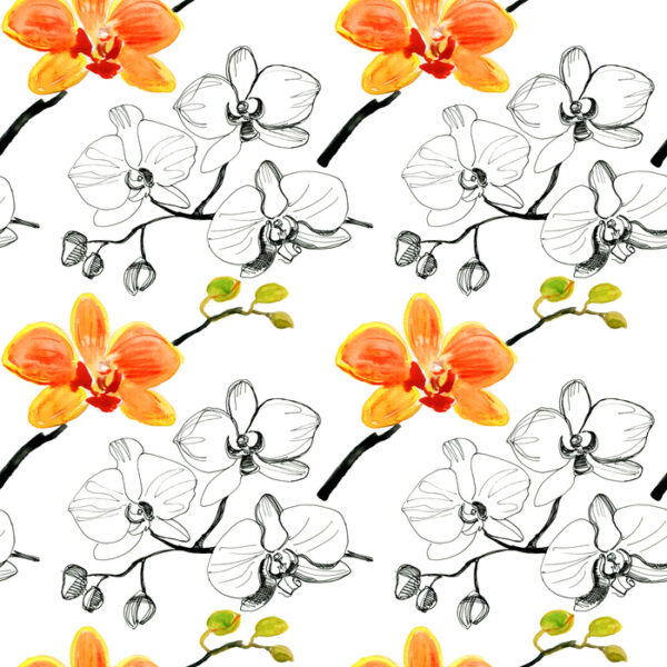 Tapeta Do Salonu Kwiaty Storczyki Orchidea Natura