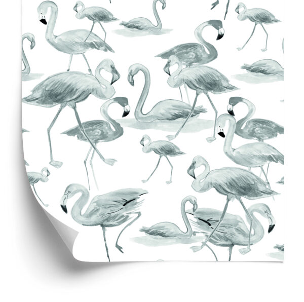 Tapeta Do Salonu, Flamingi, Ptaki, Natura - obrazek 4