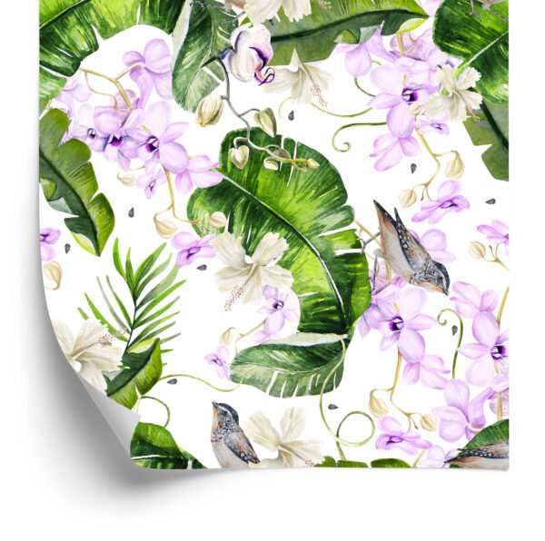 Tapeta Do Salonu Rośliny Natura Storczyki Kwiaty - obrazek 4