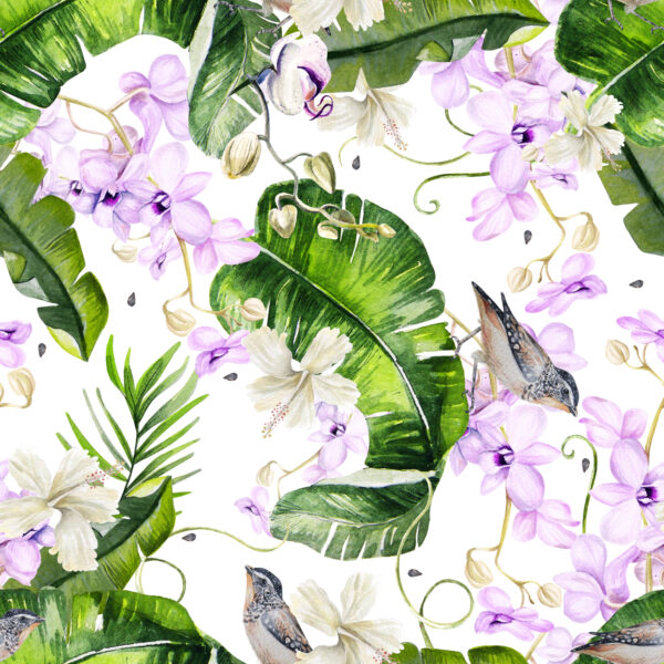 Tapeta Do Salonu Rośliny Natura Storczyki Kwiaty - obrazek 2
