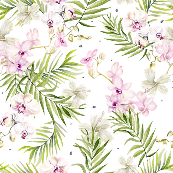 Tapeta Do Salonu Storczyki Orchidea Kwiaty Natura