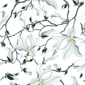 Tapeta Białe Magnolie