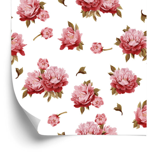 Tapeta Kolorowe Peonie - Akwarela - obrazek 4