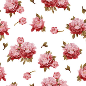 Tapeta Kolorowe Peonie - Akwarela