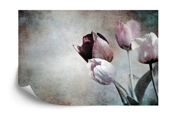 Fototapeta Tulipany W Stylu Vintage - obrazek 4