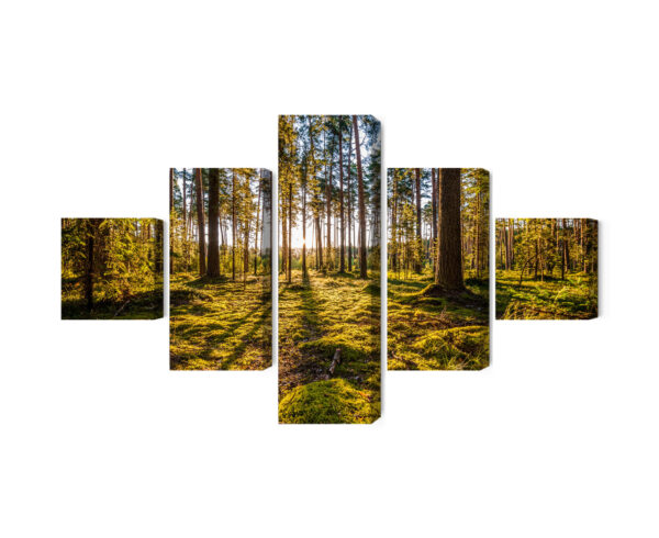 Obraz Wieloczęściowy Słoneczny Leśny Krajobraz 3D - obrazek 3