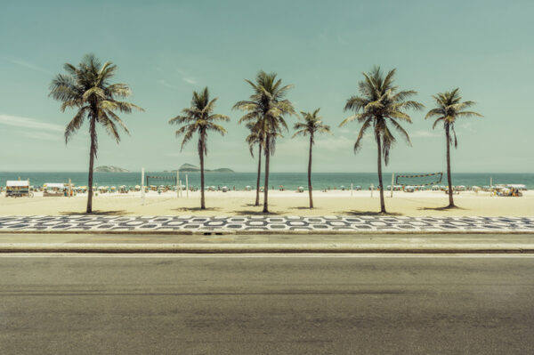 Obraz Wieloczęściowy Palmy Na Plaży Ipanema W Rio De Janeiro
