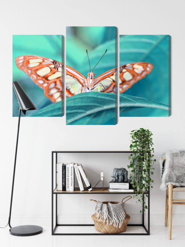 Obraz Wieloczęściowy Motyl Na Liściu W Skali Makro - obrazek 10