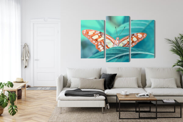 Obraz Wieloczęściowy Motyl Na Liściu W Skali Makro - obrazek 7
