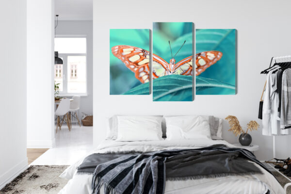 Obraz Wieloczęściowy Motyl Na Liściu W Skali Makro - obrazek 8