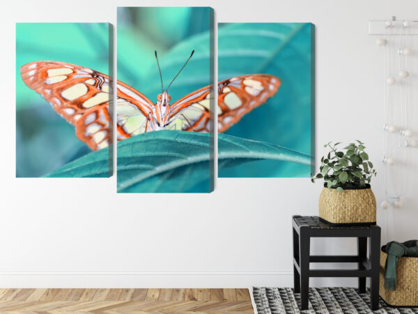 Obraz Wieloczęściowy Motyl Na Liściu W Skali Makro - obrazek 9