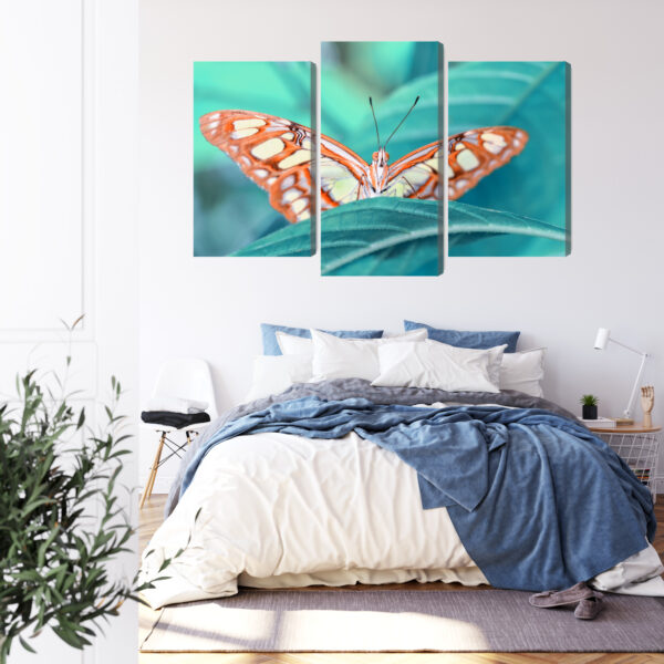 Obraz Wieloczęściowy Motyl Na Liściu W Skali Makro - obrazek 4