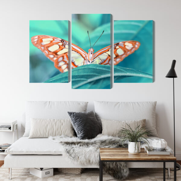 Obraz Wieloczęściowy Motyl Na Liściu W Skali Makro - obrazek 5