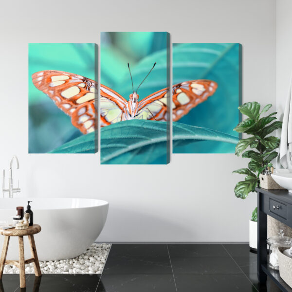 Obraz Wieloczęściowy Motyl Na Liściu W Skali Makro - obrazek 6