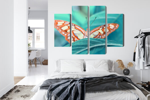 Obraz Wieloczęściowy Motyl Na Liściu W Skali Makro - obrazek 8