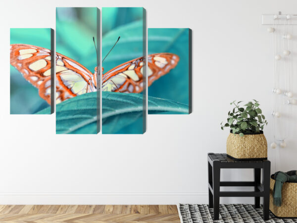 Obraz Wieloczęściowy Motyl Na Liściu W Skali Makro - obrazek 9