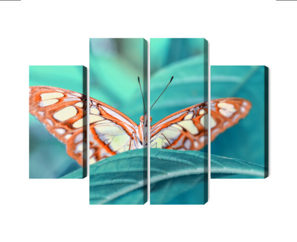 Obraz Wieloczęściowy Motyl Na Liściu W Skali Makro - obrazek 3
