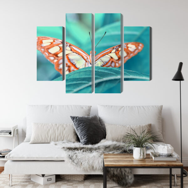 Obraz Wieloczęściowy Motyl Na Liściu W Skali Makro - obrazek 5