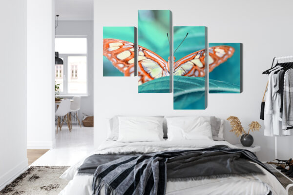Obraz Wieloczęściowy Motyl Na Liściu W Skali Makro - obrazek 8