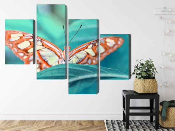 Obraz Wieloczęściowy Motyl Na Liściu W Skali Makro - obrazek 9