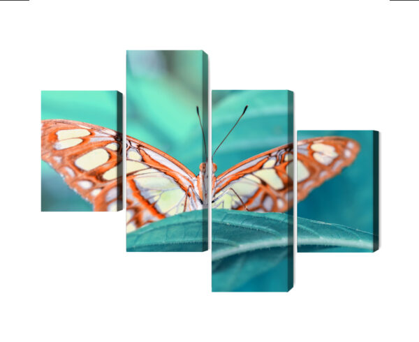 Obraz Wieloczęściowy Motyl Na Liściu W Skali Makro - obrazek 3