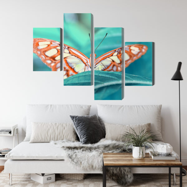 Obraz Wieloczęściowy Motyl Na Liściu W Skali Makro - obrazek 5
