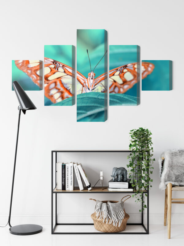 Obraz Wieloczęściowy Motyl Na Liściu W Skali Makro - obrazek 10