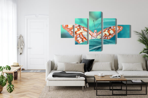 Obraz Wieloczęściowy Motyl Na Liściu W Skali Makro - obrazek 7