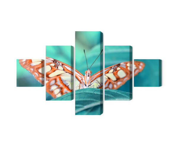Obraz Wieloczęściowy Motyl Na Liściu W Skali Makro - obrazek 3