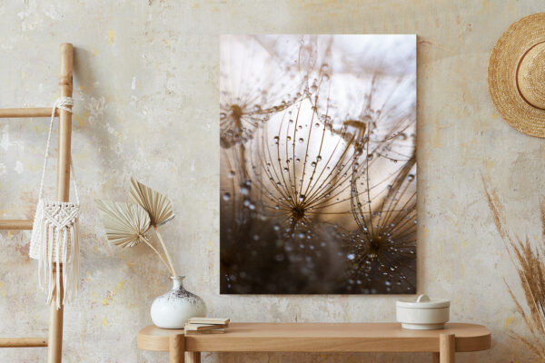Plakat Dmuchawiec Z Kroplami Rosy - obrazek 7