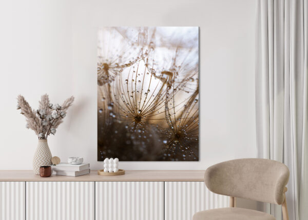 Plakat Dmuchawiec Z Kroplami Rosy - obrazek 6