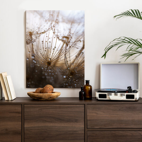 Plakat Dmuchawiec Z Kroplami Rosy - obrazek 5