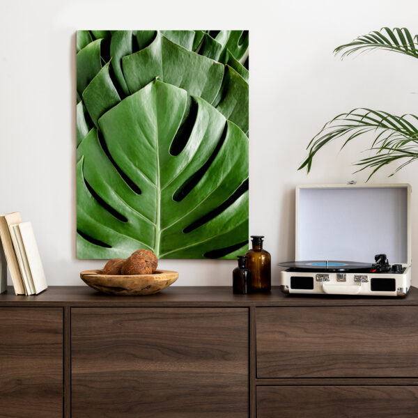 Plakat Monstera Liście Palmowe - obrazek 5