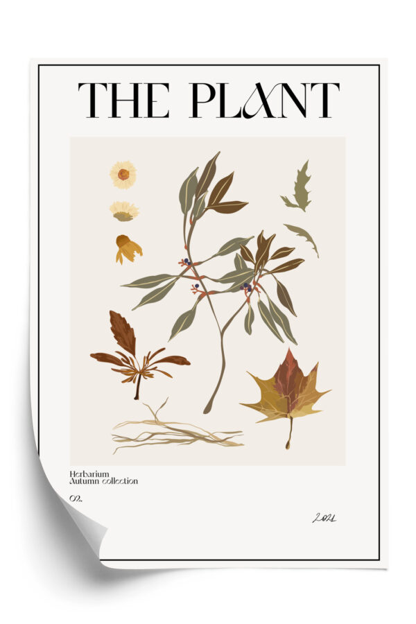 Plakat Atlas Jesiennych Liści - obrazek 3