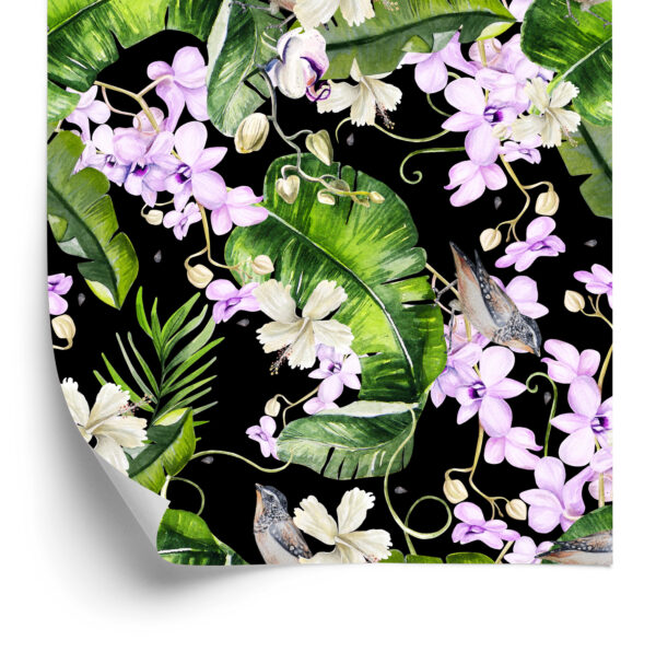 Tapeta Do Salonu Storczyki Natura Kwiaty Rośliny - obrazek 4